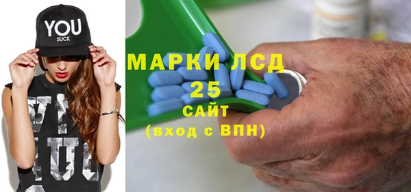 хмурый Алексин