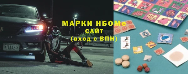 индика Дмитров