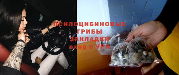 хмурый Алексин