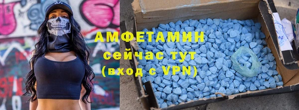 хмурый Алексин