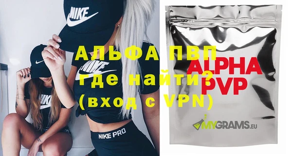 хмурый Алексин
